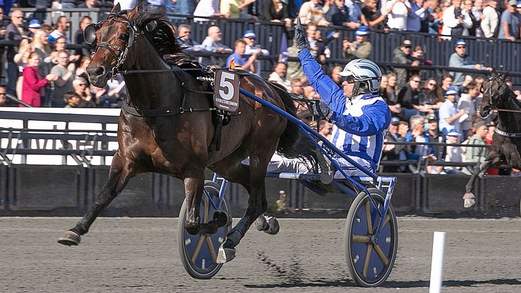 Stoletheshow är klar för Elitloppet 2023. Foto: TR Bild.