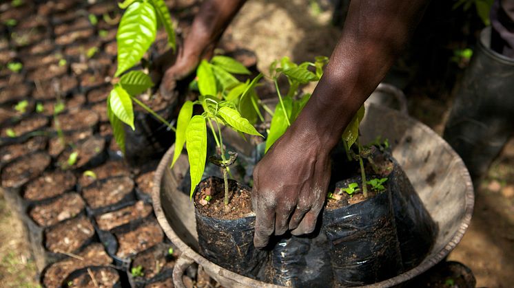 Mondelēz International to Invest $400 Million to Help One Million People in Cocoa Farming Communities