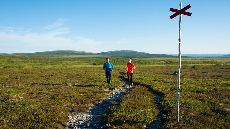 Trail running 