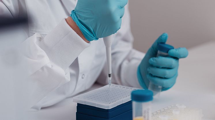 lab