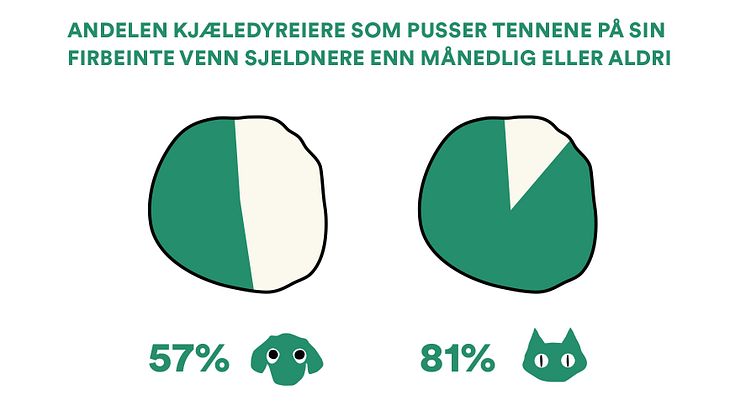 Musti_rapport_kattevask_grafikk_1.jpg