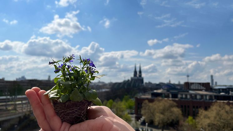 Zurich unterzeichnet Kllimaerklärung Köln