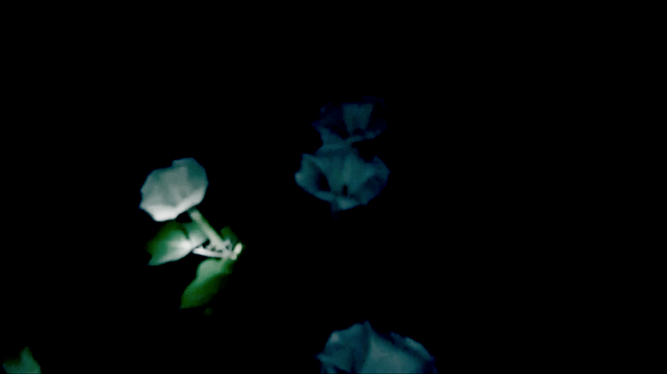 A poetic investigation of power – Ida Bergman's BFA exhibition at Konstfack 