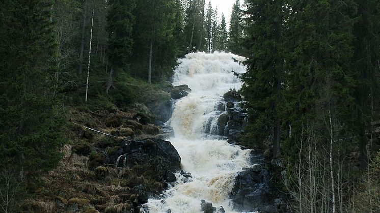 Västanåfallet, Härnösand, Höga Kusten