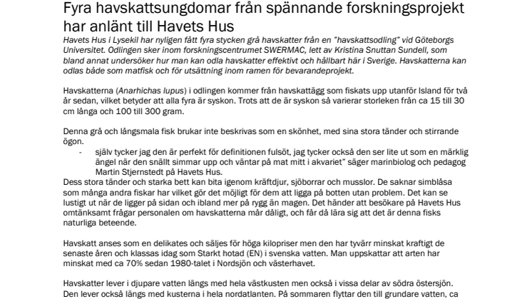 Fyra havskattsungdomar från spännande forskningsprojekt har anlänt till Havets Hus 