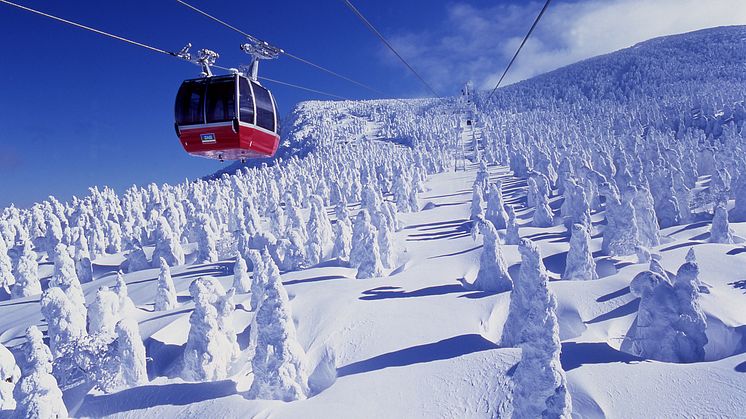 It’s all about SNOW!  Come and see Japan’s magical winter sceneries