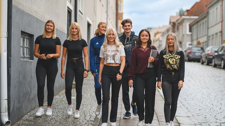 Fria Läroverken
