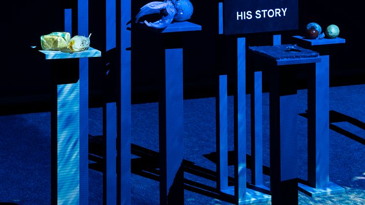 Laure Prouvost, end her Is story, 2017