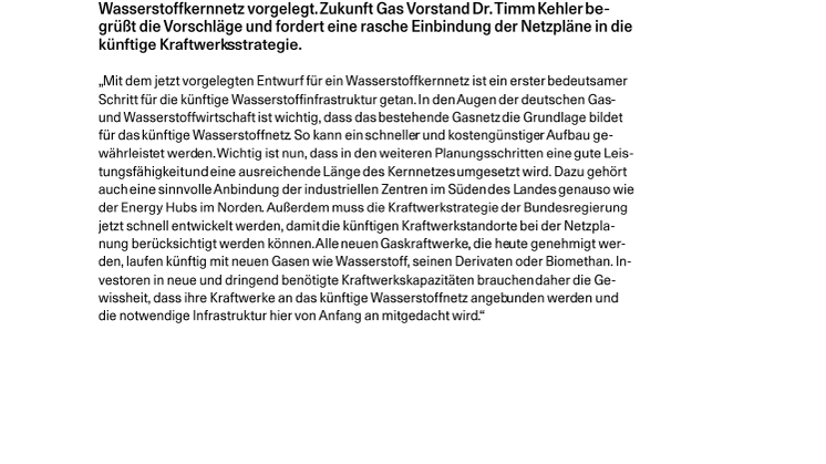 20230712_Pressestatement Wasserstoffkernnetz.pdf