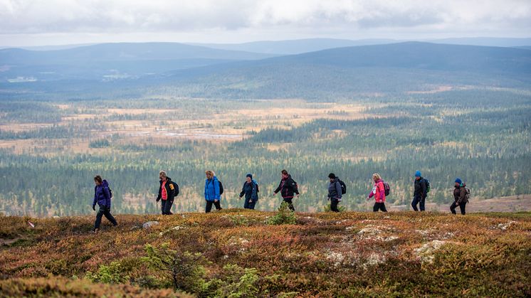 Vellykket rypeløp i Trysil