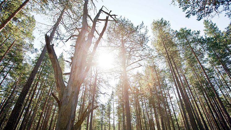 HSB Södermanland ska få fler att energieffektivisera