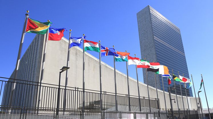 Northumbria academic to address United Nations conference