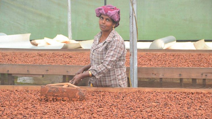 Standout Chocolate är en chokladproducent som ger tillbaka