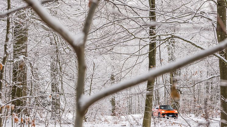 Lamborghini Winter Drive 2022