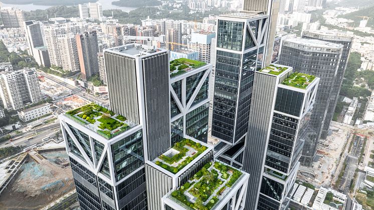 Roof Terrace Garden