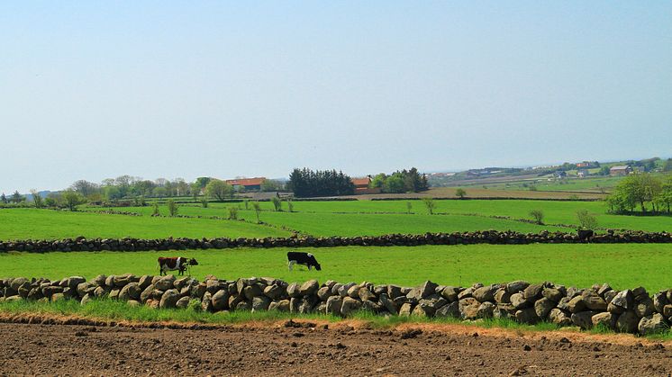 Bio Jæren AS ønsker å bygge Norges største biogass- og gjødselfabrikk på Jæren