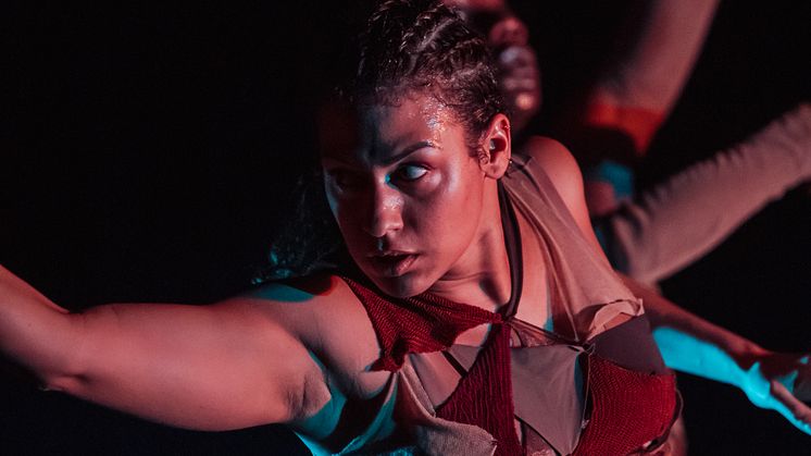 Company Nicolas Huchard - The barefoot diva