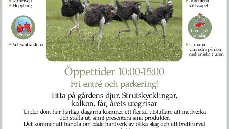 Vårmarknad 11-12 maj Rinkeby Struts
