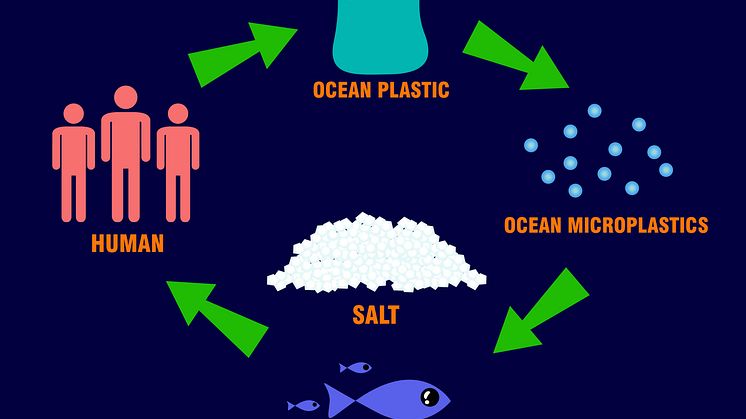 Microplastics ocean pollution cycle [Credit: Surachet99 _iStock ID:1060396196]