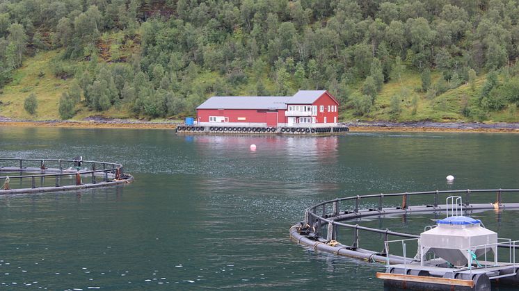 Oksøy site in Nordland (photo by Ander Furuseth/Intrafish.no)