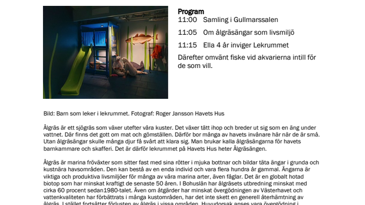 230207 På lördag invigs Lekrummet Ålgräsängen.pdf