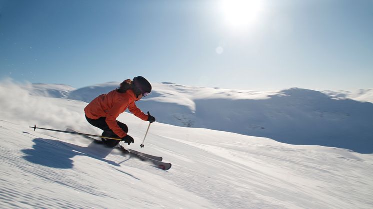 Riktiga Fjäll