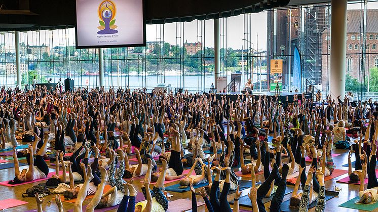 800 yogis var på plats vid det svenska officiella firandet av Internationella Yogadagen i Stockholm.