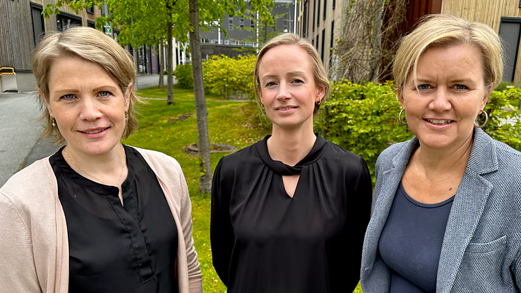 Aneo collaborates with Renewable Power Capital on physical power trading in Sweden