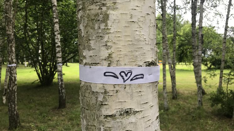 Tusen träd adopterade