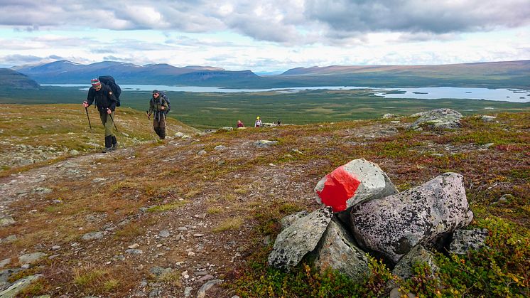 Kungsleden