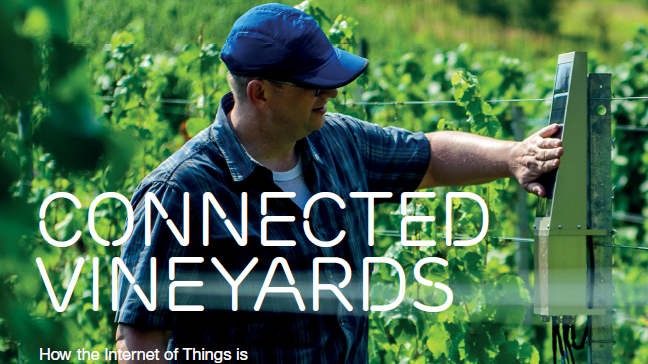Ericsson, MyOmega, Intel and Telenor Connexion bring efficiency to winemakers