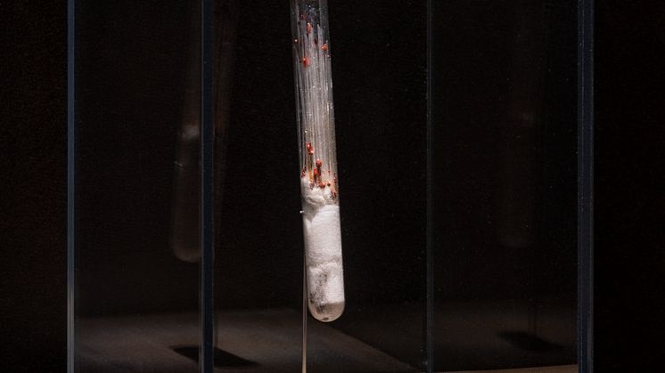 Inoculation kit, 19th century