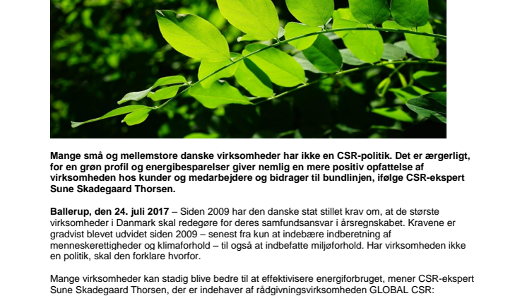 CSR-ekspert: Mange danske virksomheder fokuserer ikke på grøn branding