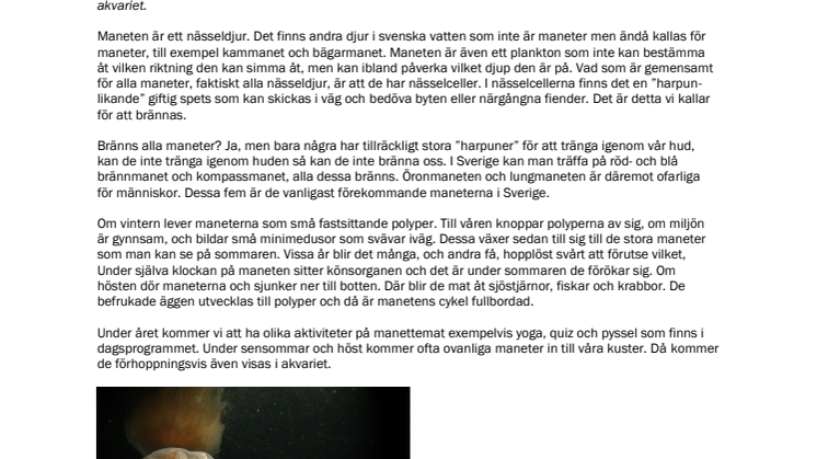 240202_Manetens år på Havets Hus.pdf