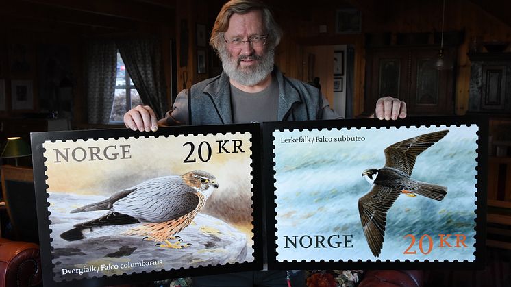 Viggo Ree viser fram frimerkene med falkemotiver fra hans akvareller. Foto: Birger Morken, Posten