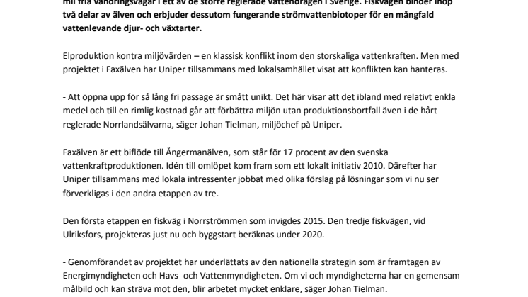 Uniper inviger nybyggd fiskväg – snart 15 mil fria vandringsvägar i Faxälven