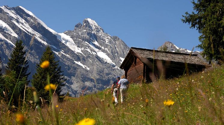 Northface Trail Schilthorn