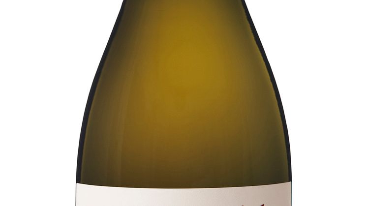 MM Louw Sauvignon Blanc
