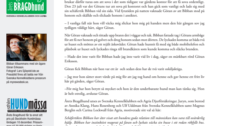 Schäfern Bibban är Årets Bragdhund