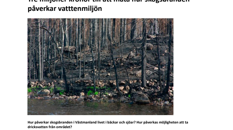 Tre miljoner kronor till att mäta hur skogsbranden påverkar vattenmiljön