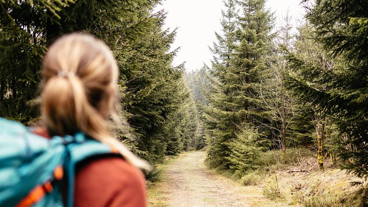 Im Erzgebirge Tourentester werden (Foto TVE/Franziska Consolati)