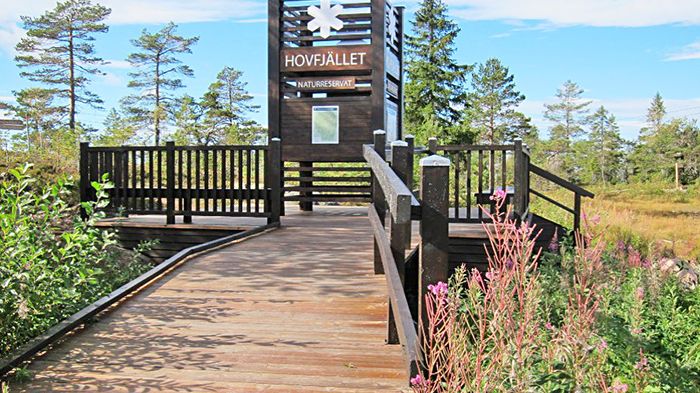 Lördagen den 30 september 2017 arrangerar Länsstyrelsen Värmland en invigning av upprustade vandringsleder i Hovfjällets naturreservat.