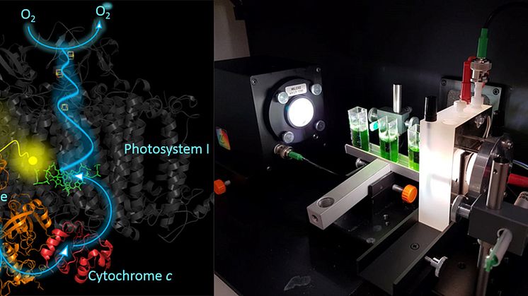 Biotechnologische Forschung: Prinzip und Laboraufbau zur effektiven Nutzung von Sonnenenergie. © TH Wildau / AG Biosystemtechnik