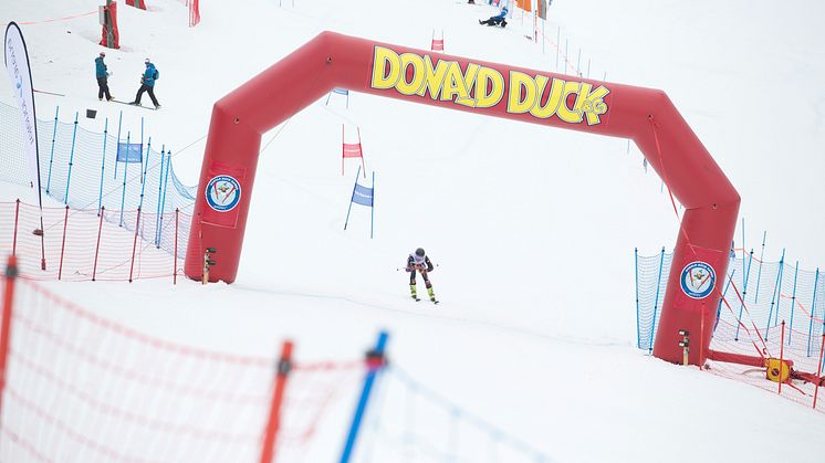 Donald Duck Games