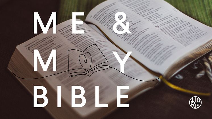 Libris_MAMB_banner.jpg