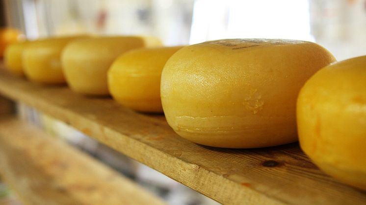 Den svenska marknadsandelen för kött och ägg ökar, men när det gäller mejeriprodukter fortsätter trenden med sjunkande svensk marknadsandel. Foto: Urban Wigert