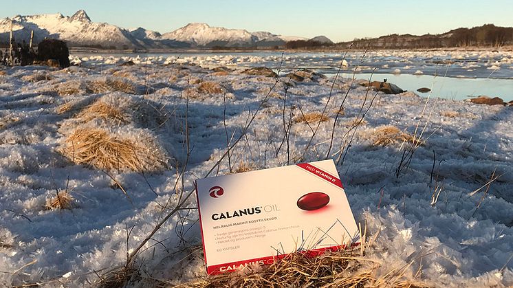 Slik sikrer du deg nok omega-3 året rundt