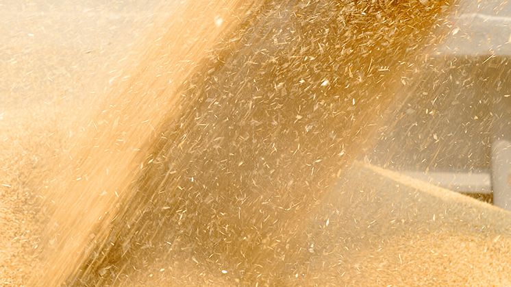 Mitigating Dust Disasters in Grain, Seed and Feed Handeling