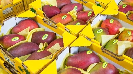 Lufthansa Cargo ist Aussteller auf der Fruit Logistica