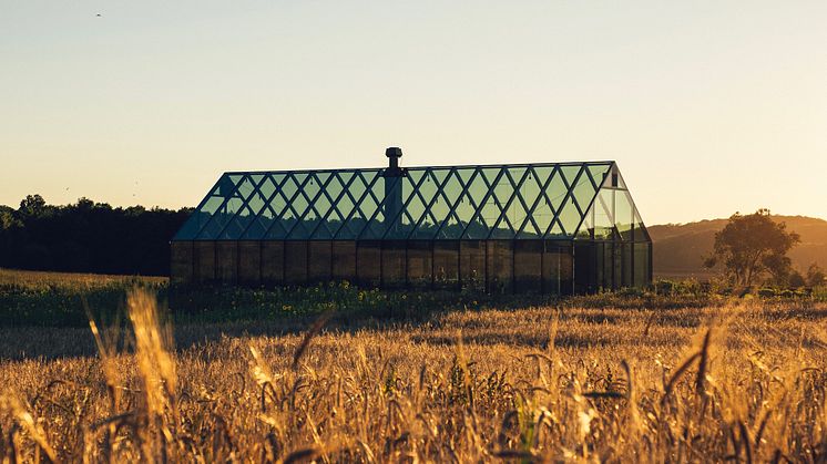  Nya restaurnag Äng, Ästad Vingård är en av Sveriges största vingårdar, mitt i vackra naturreservaten Åkulla Bokskogar. Bild: Ästad Vingård